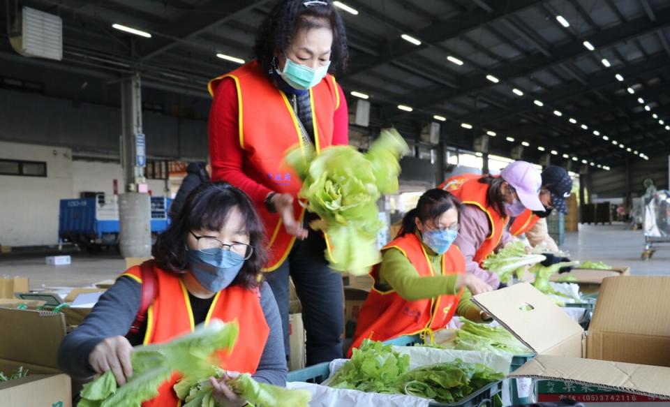 新北惜食分享網-板橋社福中心的理菜志工於板橋果菜批發市場整理NG食材。   圖：新北市環保局提供