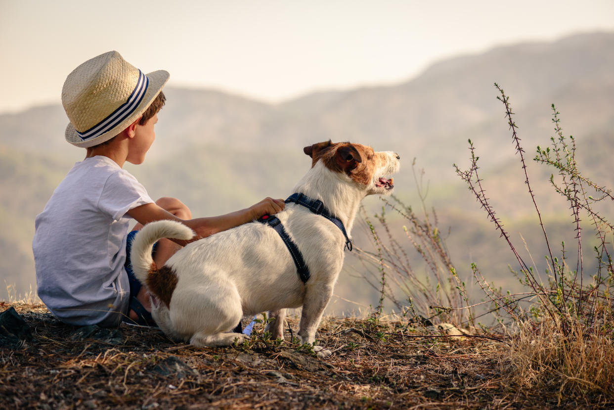 Boy hiking with dog in mountains