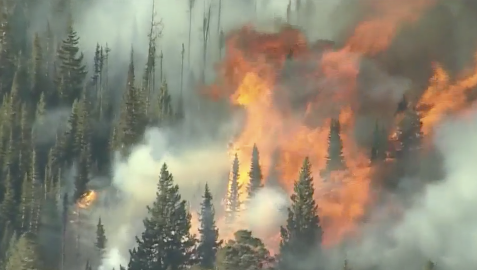 A fire rips through Colorado forest.