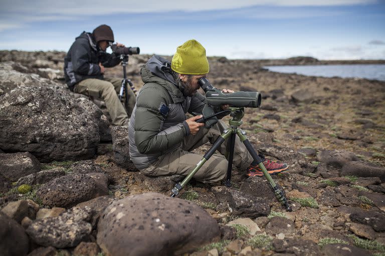 Ignacio Roesler observando al macá tobiano en una de las lagunas de la estepa patagónica