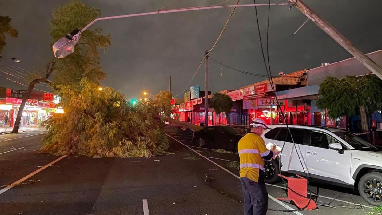 SES Monash crews working to clear fallen trees as the statewide clean-up continues following severe weather on Tuesday. Picture: SES Monash Unit.