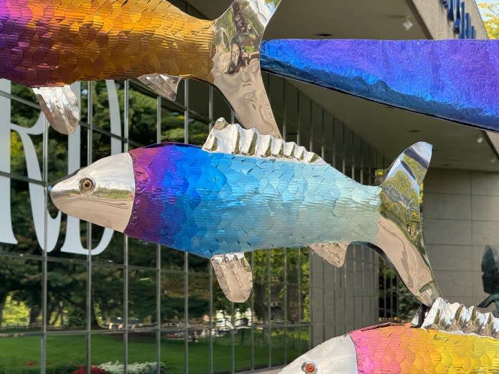 Photo from the iPhone 15 Pro Max telephoto camera of a colorful metal fish.