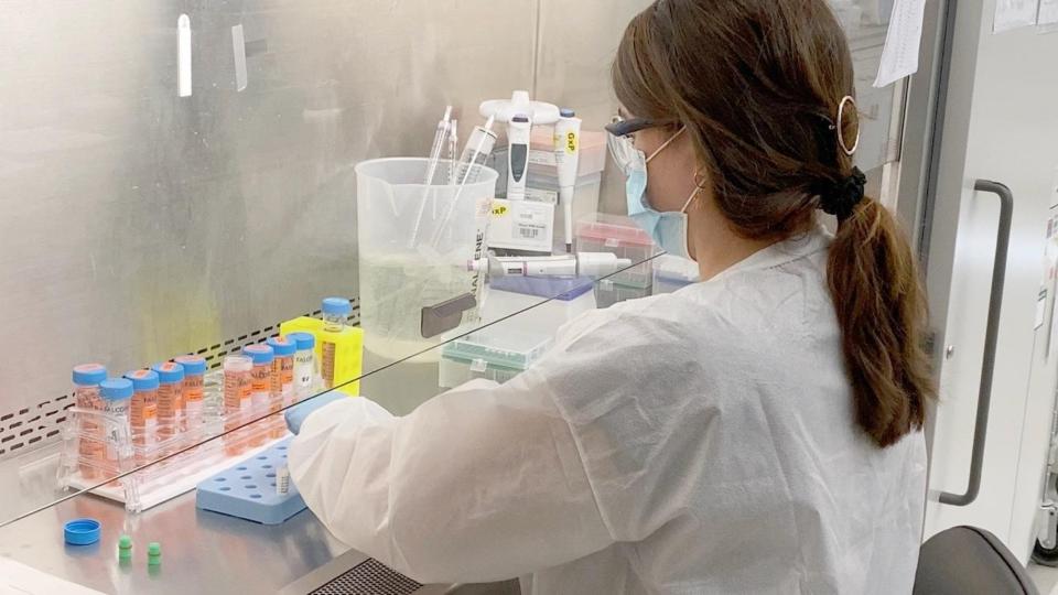 圖為輝瑞研究人員在實驗室測試新冠肺炎疫苗。（圖取自facebook.com/Pfizer）