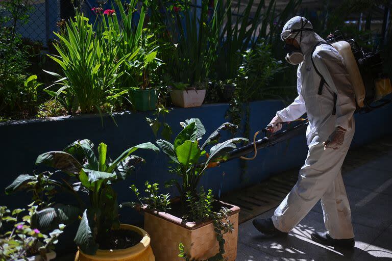 Un trabajador fumiga las plantas al interior de una escuela para prevenir la proliferación del mosquito transmisor del dengue Aedes aegypti