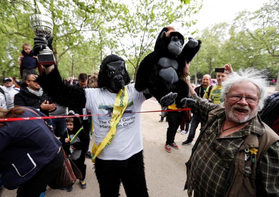 Charity event competitor Tom Harrison crosses the line at the London Marathon finish line on the Mall, dressed in a gorilla outfit to raise money for the Gorilla Foundation: REUTERS/Peter Nicholls