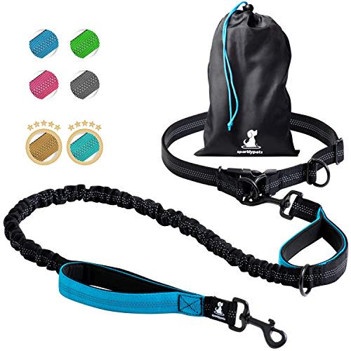 SparklyPets Hands-Free Dog Leash (Amazon / Amazon)