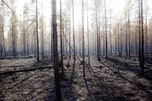 There have been 27 fires across Sweden, which is experiencing an unprecedented drought and the highest temperatures in a century