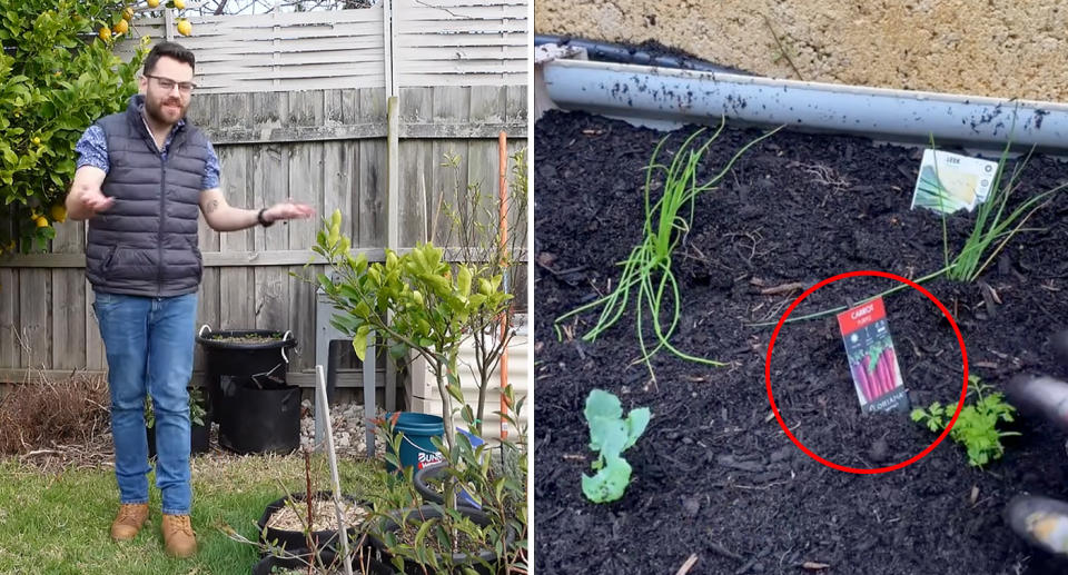 Ryan standing in his garden (left) with a screenshot of a Bunnings TikTok video (right) 