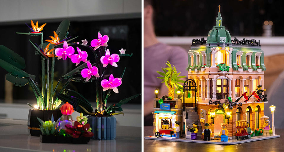 LEGO lights in an orchid kit and building kit