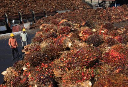 Workers stand inside a palm oil factory in Sepang, outside Kuala Lumpur, February 18, 2014. REUTERS/Samsul Said/Files