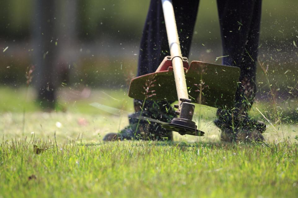 Electric lawn tools like this string trimmer — quieter, cleaner, easier to maintain and more sustainable — will be available for trial in Holland on June 10, hosted by Holland Board of Public Works and Visser Ace Hardware.