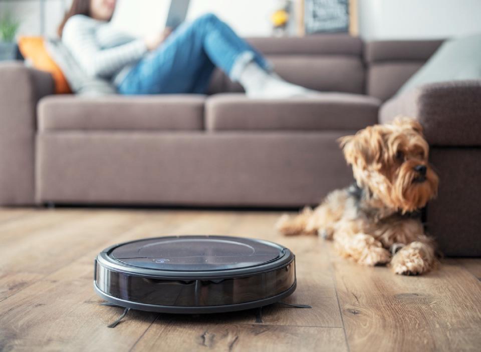 This powerful little robot vacuum will lift pet hair and other debris from your floors effortlessly.  (Source: iStock)