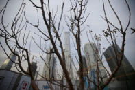 A tree is pictured in front of buildings in Beijing's central business area, China January 18, 2019. Picture taken January 18, 2019. REUTERS/Jason Lee