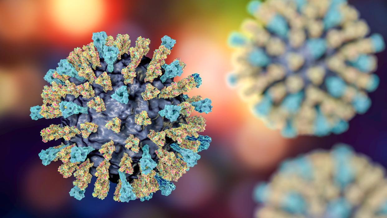  Medical illustration of a single measles virus particle with two more in the background that are blurred. The background is multi-colored. The virus particles are spherical with a purple-colored core with blue and yellow "spikes" coming out of it. 