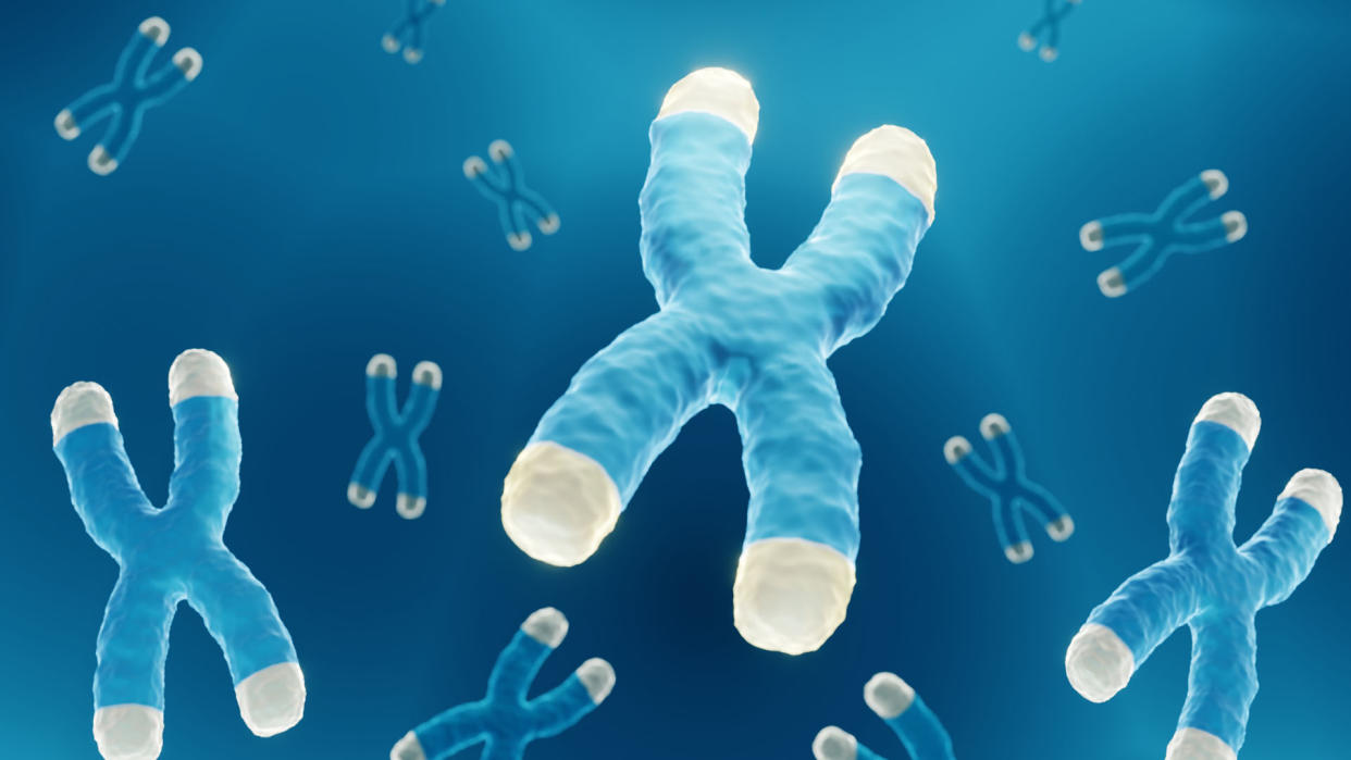  Illustration showing chromosomes with highlighted telomeres 