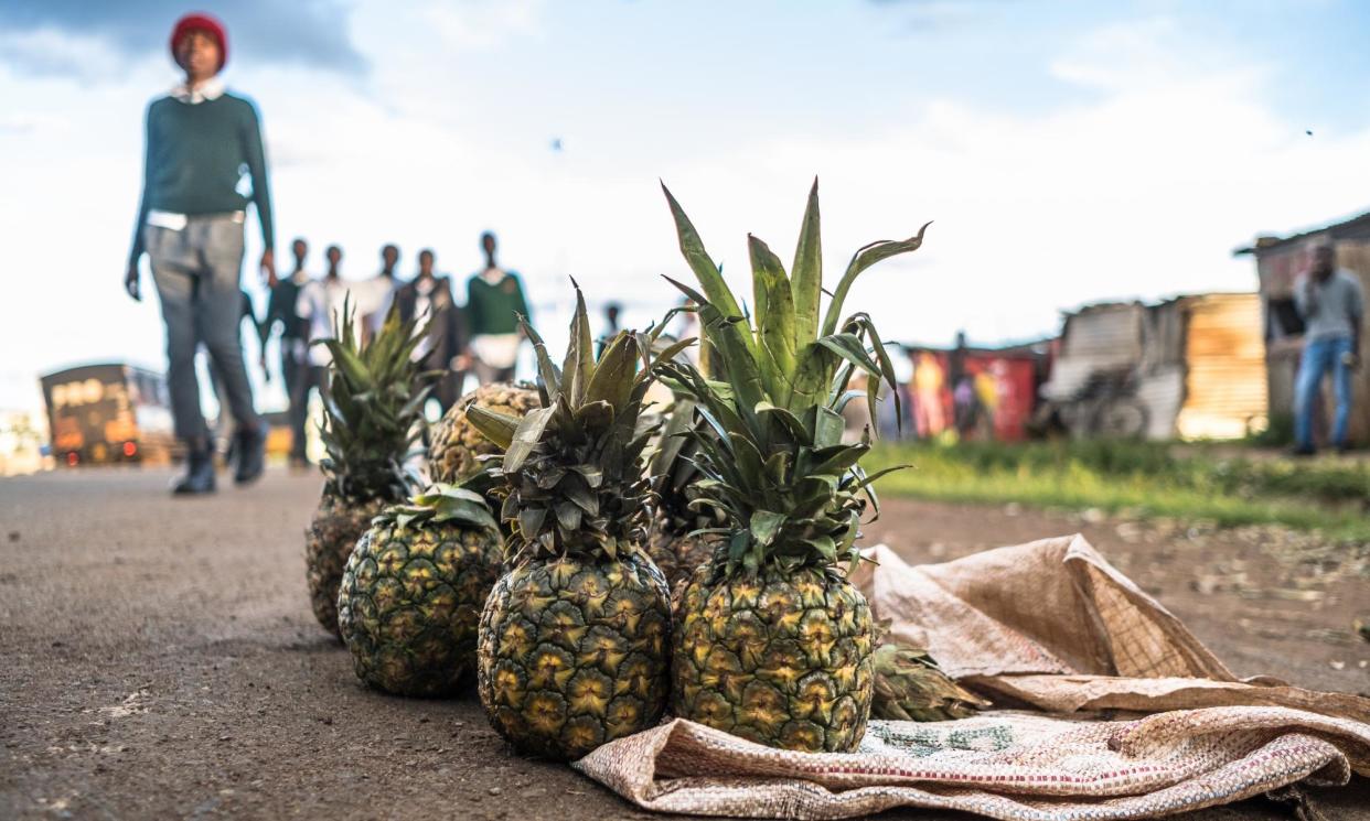 <span>Photograph: Brian Otieno/The Guardian</span>