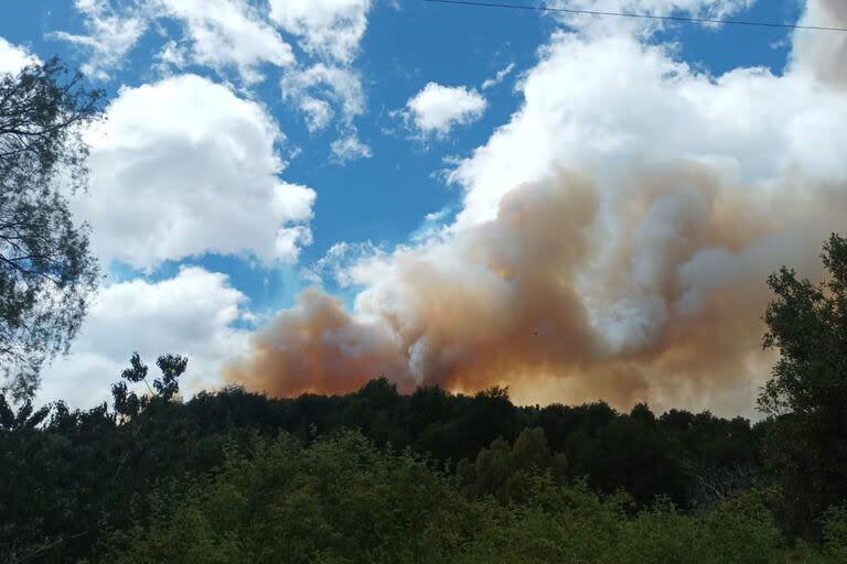 El incendio ya afectó unas 2835 hectáreas de bosque nativo