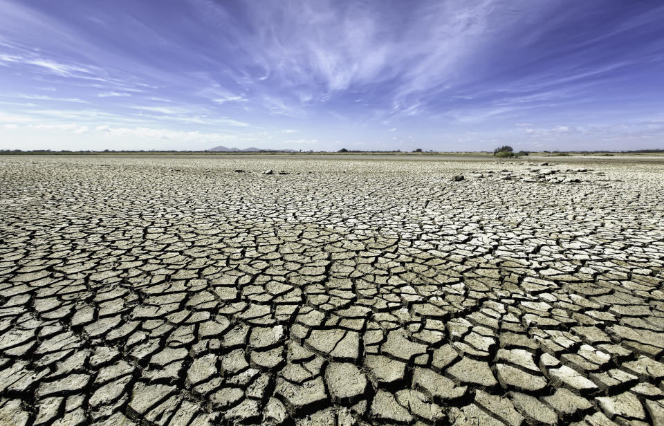 Dürre in Australien. Eine der Folgen des Wetterphänomens El Niño.   - Copyright: Getty Inmages 