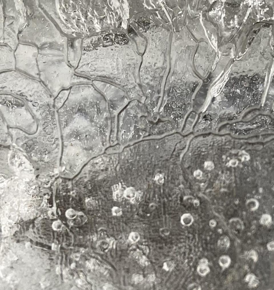 A close-up view of the frozen bubbles trapped in the ice of a pond.