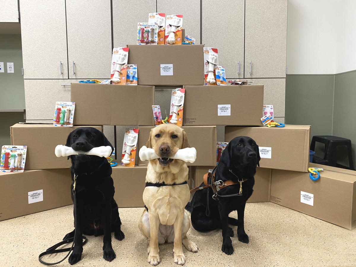 Nylabone Cares  Donating to Dog Shelters