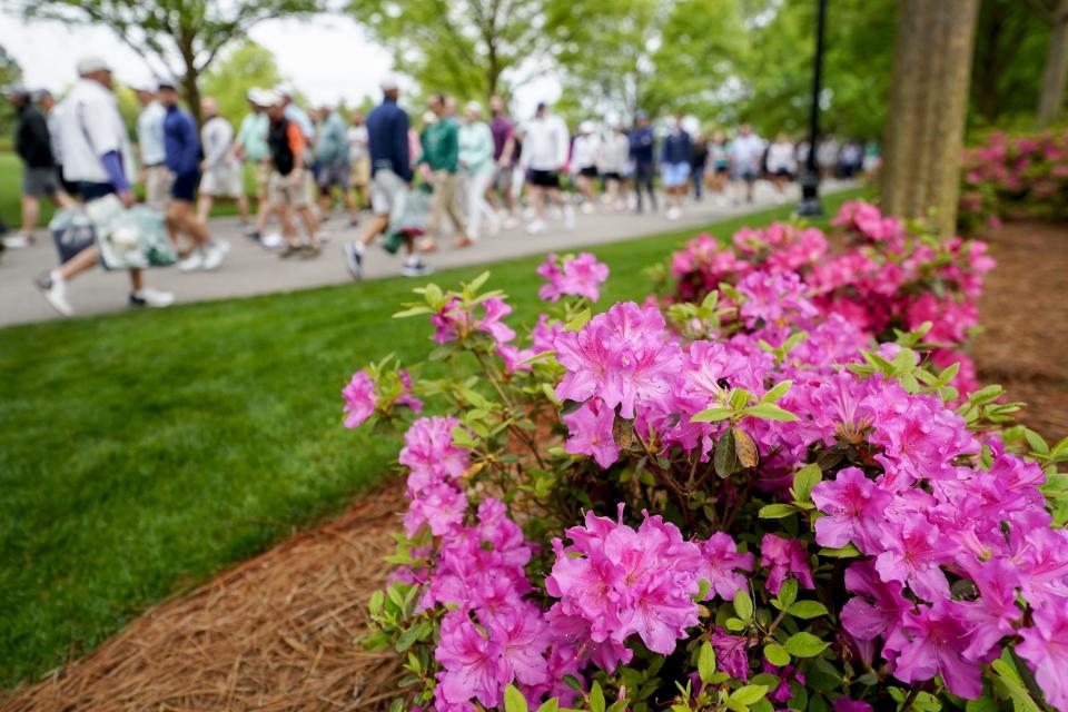FILE - Apr 3, 2023; Augusta, Georgia, USA; Patrons walk past an azalea bush as they enter the course during a practice round for The Masters golf tournament at Augusta National Golf Club. Mandatory Credit: Danielle Parhizkaran-USA TODAY Network