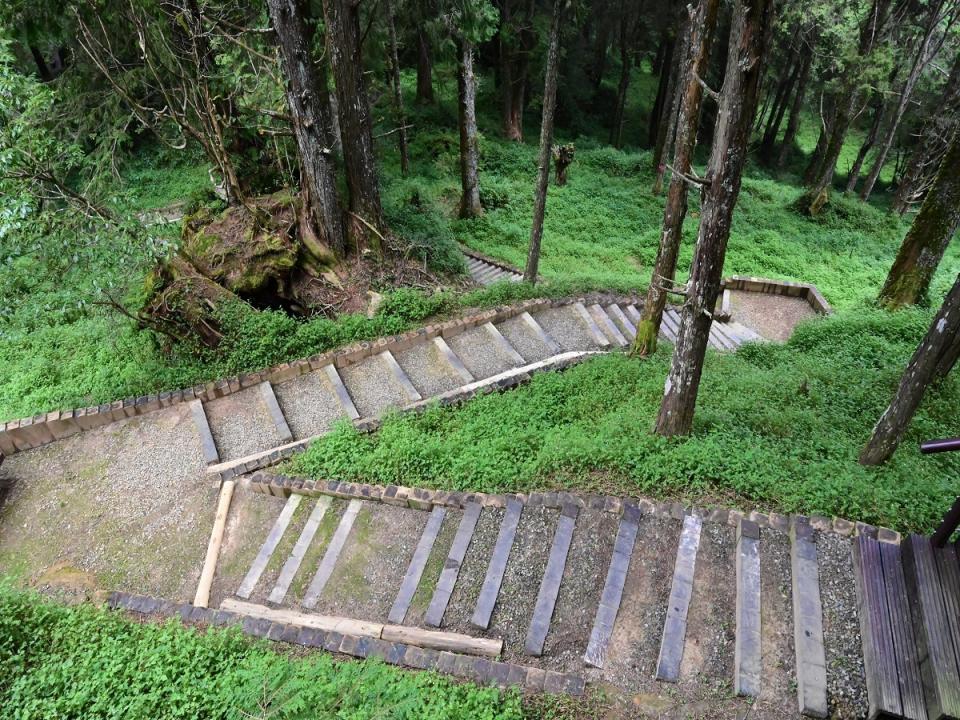 水山療癒步道以手作步道、降低生態干擾方式打造。（圖：嘉義林區管理處提供）