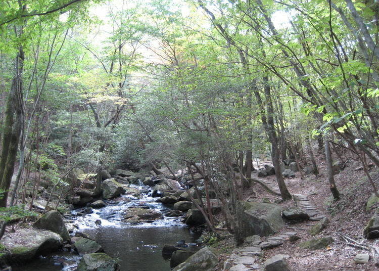 最適合邊健行邊感受溪流清涼感的公園