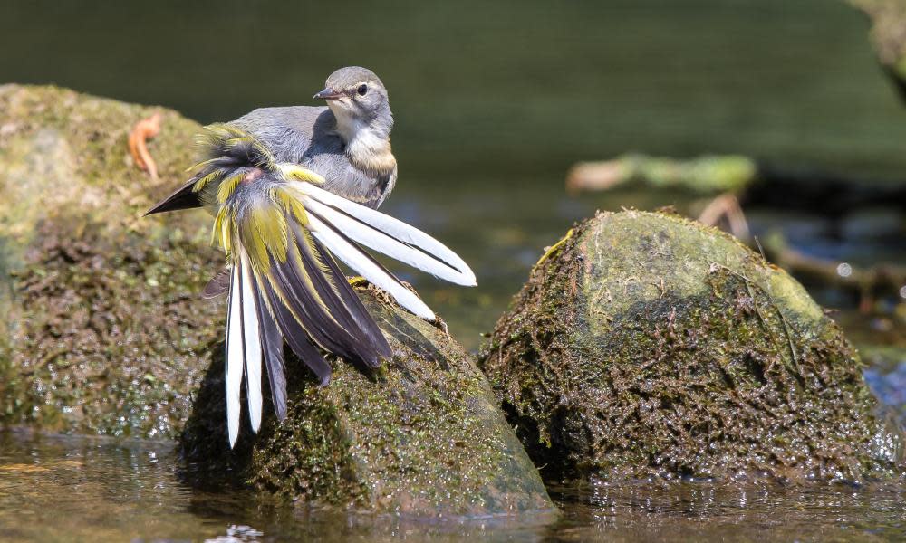 <span>Photograph: Lee Hudson/Alamy</span>