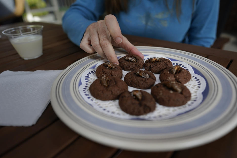 University of Maryland entomologist Paula Shrewsbury, reaches for a cookie topped with a cicada nymph, Monday, May 17, 2021, in Columbia, Md. (AP Photo/Carolyn Kaster)