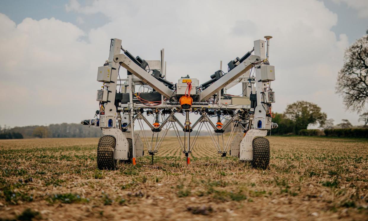 <span>Utilising gene editing could help enhance visual recognition of plants by weeding robots.</span><span>Photograph: Peter Flude/The Guardian</span>