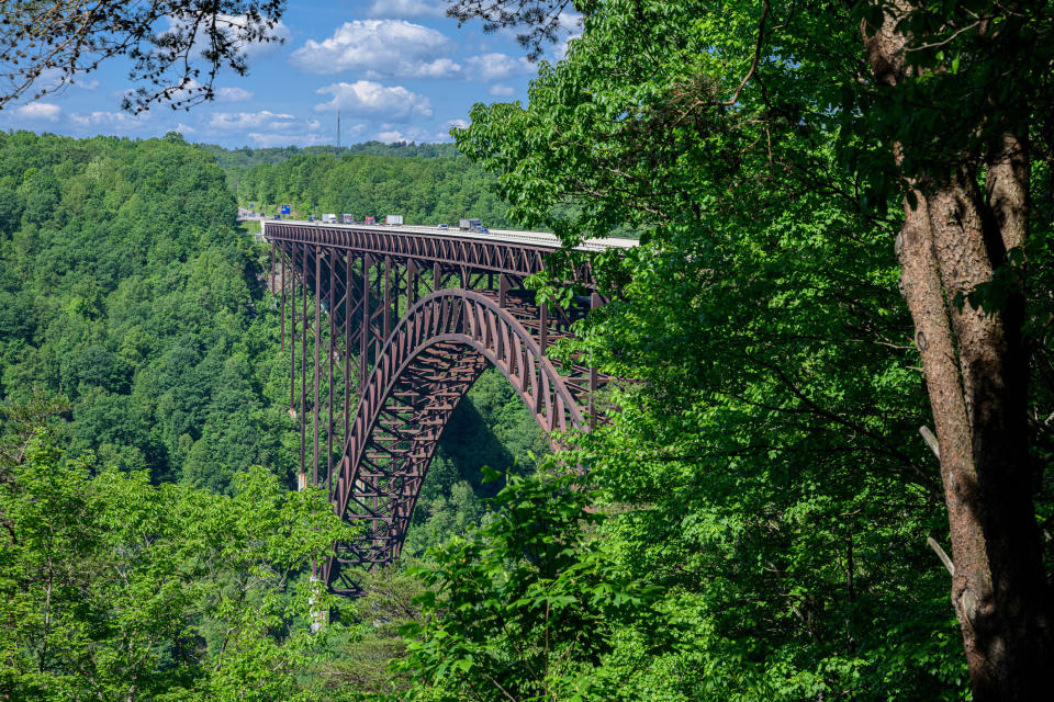 a long iron bridge standing tall over a wooded area