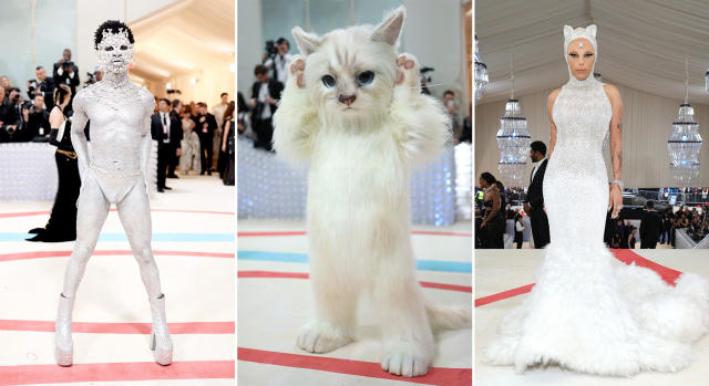 Doja Cat dresses as Karl Lagerfeld's cat Choupette at 2023 Met Gala