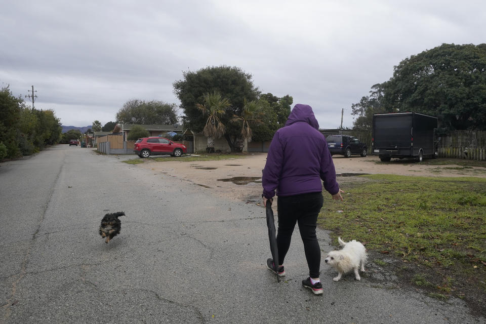 Ileana Miranda is greeted by her dogs as she walks near her San Jerardo cooperative home in Salinas, Calif., Wednesday, Dec. 20, 2023. Some California farming communities have been plagued for years by problems with their drinking water due to nitrates and other contaminants in the groundwater that feeds their wells. (AP Photo/Jeff Chiu)