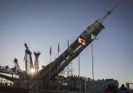 The Soyuz TMA-11M spacecraft decorated with 2014 Sochi Winter Olympic Games' patterns, is lifted on its launch pad at the Baikonur cosmodrome November 5, 2013. The Soyuz spacecraft will carry Japanese astronaut Koichi Wakata, Russian cosmonaut Mikhail Tyurin and U.S. astronaut Rick Mastracchio to the International Space Station (ISS) on November 7. REUTERS/Shamil Zhumatov (KAZAKHSTAN - Tags: SCIENCE TECHNOLOGY)