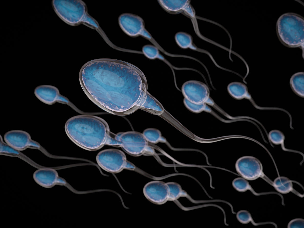 &ldquo;It is entirely possible for sperm counts to be declining ... without their being a corresponding decrease in male fertility,&rdquo;&nbsp;says University of Sussex professor Fiona Mathews. (Photo: PhonlamaiPhoto via Getty Images)