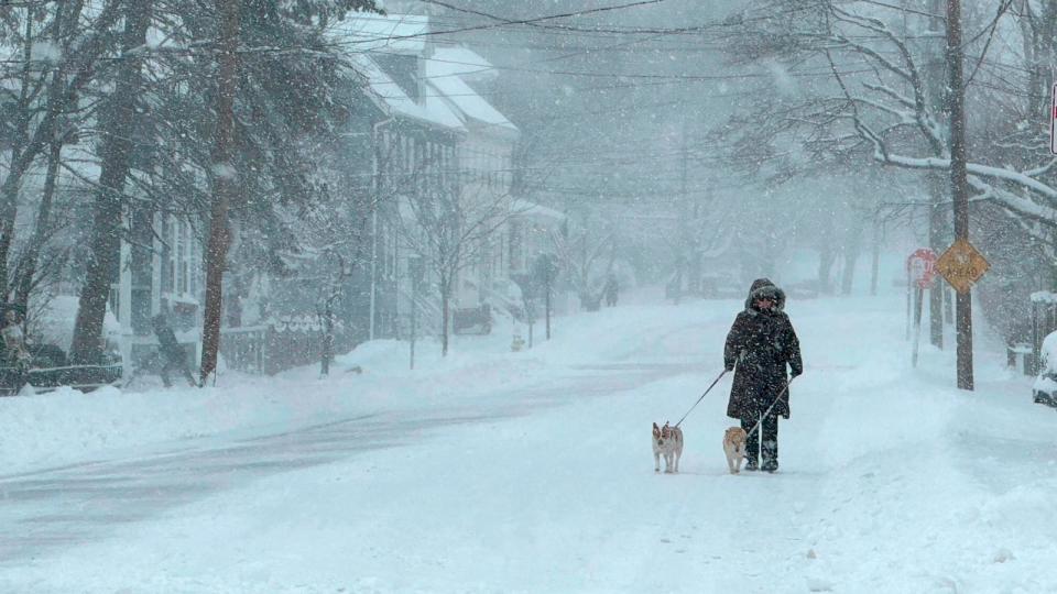 PHOTO: A person walks a dog as snow falls in Portsmouth, N.H., Jan. 7, 2024. (Caleb Jones/AP)