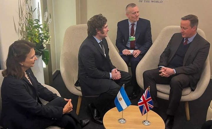 En febrero, Diana Mondino se reunió con David Cameron en Río de Janeiro