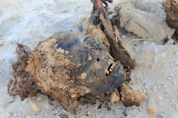 A close-up of a mummy's head at the Bahariya Oasis.