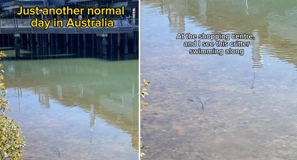 The stingray is barely visible against the rock on the pontoon floor. 