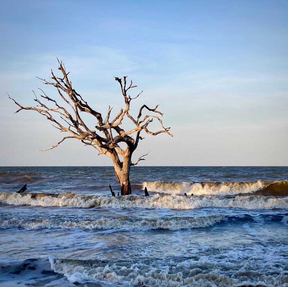 Sunset at Driftwood Beach