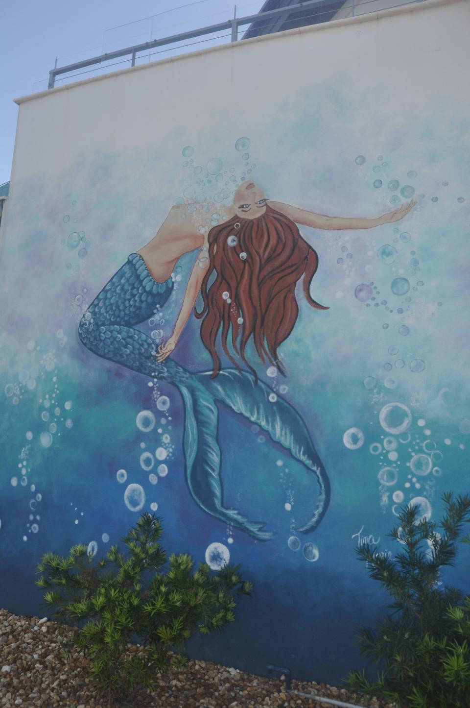 A giant mermaid mural was painted on the wall that separates the pool and lanai from the yard below. The homeowner says numerous boaters stop their vessels to look at the mermaid and take photos.