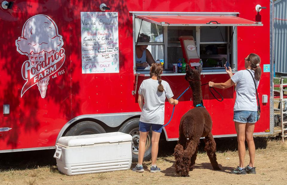 Doylestown residents Charlotte Brock, left, 16, and her mother, Lisa Brock,  take their alpaca, George, with them, as they order ice cream at Goodnoe Farm's trailer, at the 2022 Middletown Grange Fair in Wrightstown, on Thursday, Aug. 18, 2022.