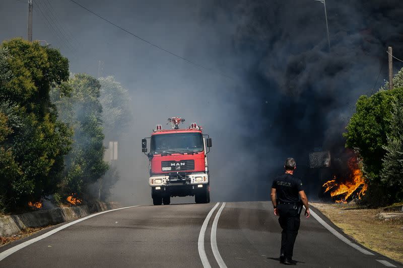 Wildfire burns at the village of Krestena, in the western Peloponnese