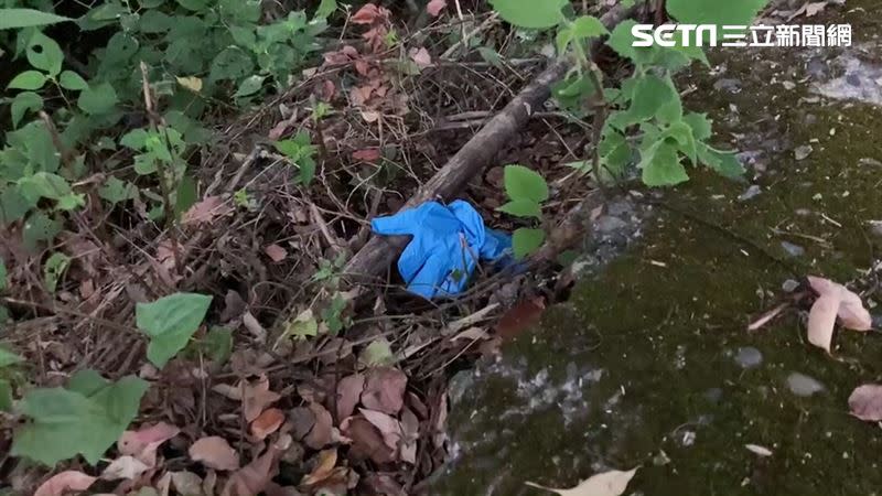 ▲馬來西亞籍女大生遭殺害，棄屍在大崗山風景區產業道路邊坡。（圖／翻攝畫面）