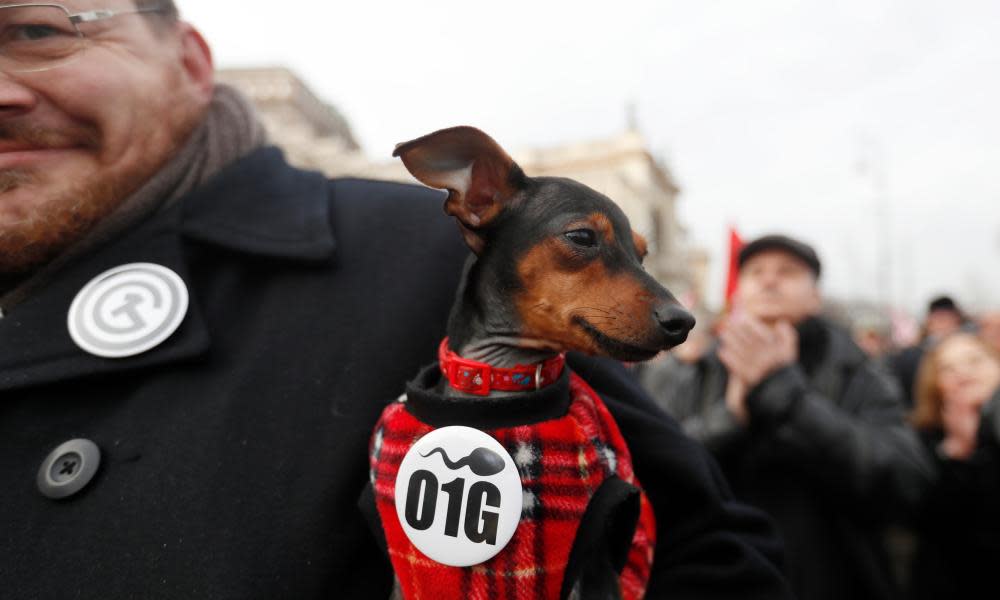 A dog sports a badge with the O1G code at an anti-government protest in Budapest