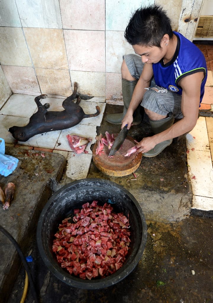 Butcher handling dog meat (Photo: AFP)