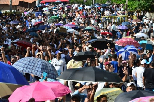 Earlier, thousands of the president's supporters held a march in the capital