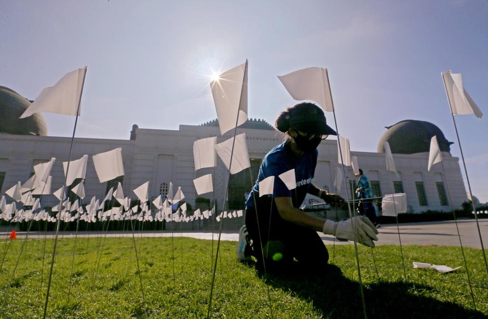 A volunteer plants small white flags on the lawn of Griffith Observatory.