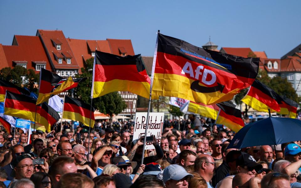 AfD rally