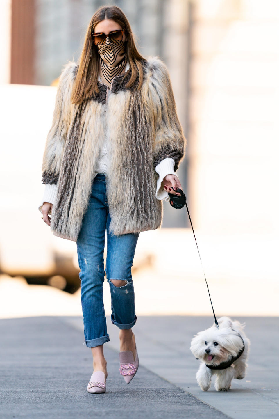 <p>Olivia Palermo steps out in an oversized fur coat to walk her dog Mr. Butler on Wednesday in Brooklyn. </p>